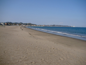 三浦海岸(神奈川県三浦市)