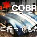 シェルビー・コブラってどんな車？『BUZZ GALLERY TOKYO』に行ってきた